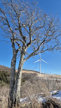 中国再保内控合规与法律事务部副总经理卞江生：再保险护航中资企业“走出去”