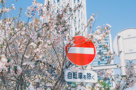 财通基金：培育壮大新兴产业和未来产业成为政策亮点 可重点围绕三条长期主线布局