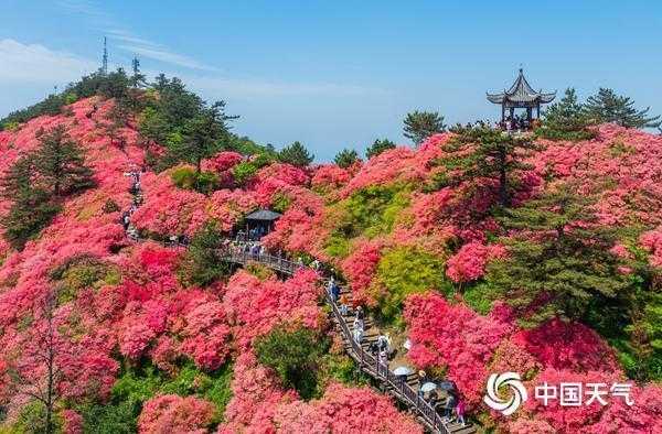  杜鹃花花期预测技术解密：海拔·光照·气候三维影响模型 新闻 杜鹃花花期预测技术解密：海拔·光照·气候三维影响模型 新闻 杜鹃花花期预测技术解密：海拔·光照·气候三维影响模型 新闻 杜鹃花花期预测技术解密：海拔·光照·气候三维影响模型 新闻 杜鹃花花期预测技术解密：海拔·光照·气候三维影响模型 新闻 杜鹃花花期预测技术解密：海拔·光照·气候三维影响模型 新闻 杜鹃花花期预测技术解密：海拔·光照·气候三维影响模型 新闻 杜鹃花花期预测技术解密：海拔·光照·气候三维影响模型 新闻