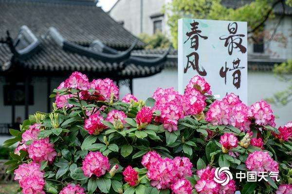 杜鹃花花期预测技术解密：海拔·光照·气候三维影响模型 新闻 杜鹃花花期预测技术解密：海拔·光照·气候三维影响模型 新闻 杜鹃花花期预测技术解密：海拔·光照·气候三维影响模型 新闻 杜鹃花花期预测技术解密：海拔·光照·气候三维影响模型 新闻 杜鹃花花期预测技术解密：海拔·光照·气候三维影响模型 新闻 杜鹃花花期预测技术解密：海拔·光照·气候三维影响模型 新闻 杜鹃花花期预测技术解密：海拔·光照·气候三维影响模型 新闻 杜鹃花花期预测技术解密：海拔·光照·气候三维影响模型 新闻