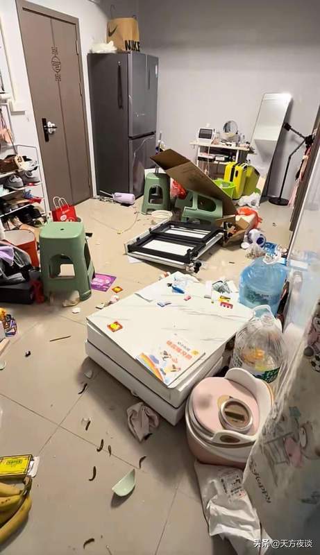  从洗碗机事件透视：中低收入家庭的财务危机与消费决策逻辑 情感心理