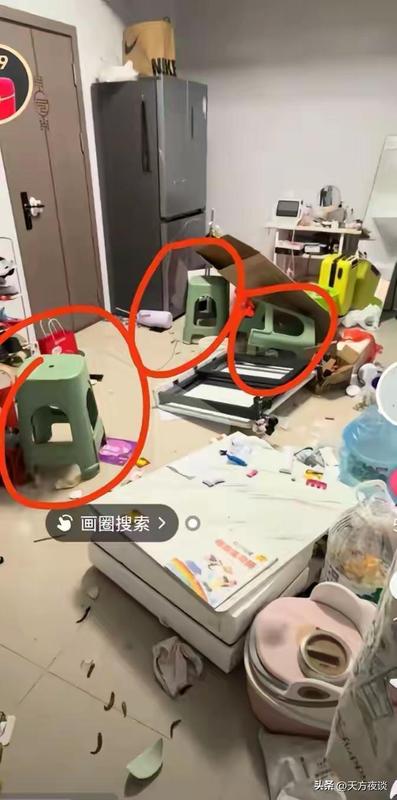  从洗碗机事件透视：中低收入家庭的财务危机与消费决策逻辑 情感心理