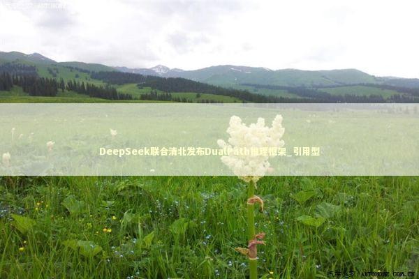 DeepSeek联合清北发布DualPath推理框架_引用型 新闻