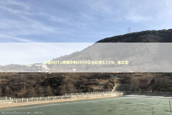 公募REITs规模冲刺3000亿分红率5.73%_悬念型