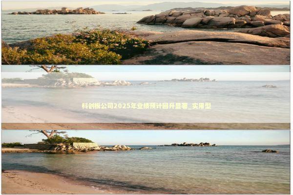 科创板公司2025年业绩预计回升显著_实用型