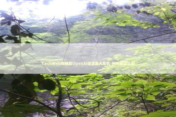 TechWeb微晚报OpenAI遭遇最大危机-科技圈议论型