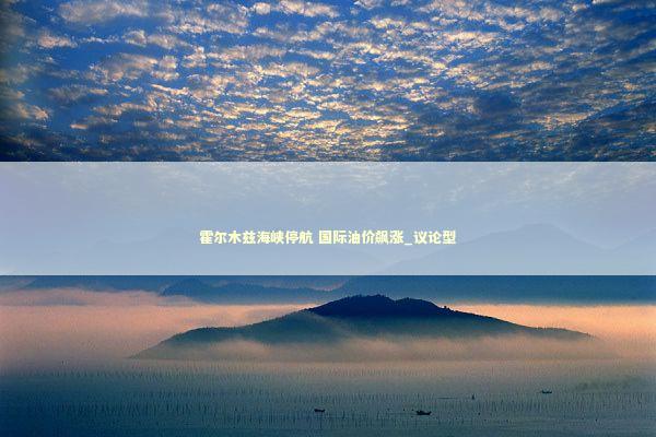 霍尔木兹海峡停航 国际油价飙涨_议论型
