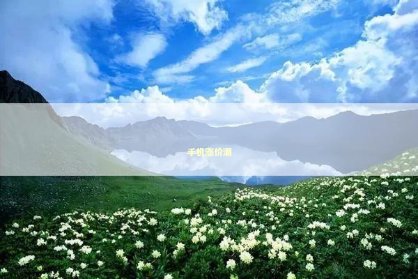 手机涨价潮