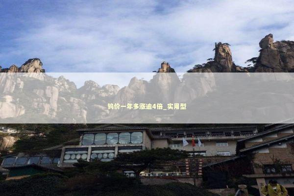 钨价一年多涨逾4倍_实用型