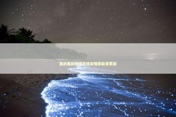 美的集团包揽定增豪赌新能源赛道