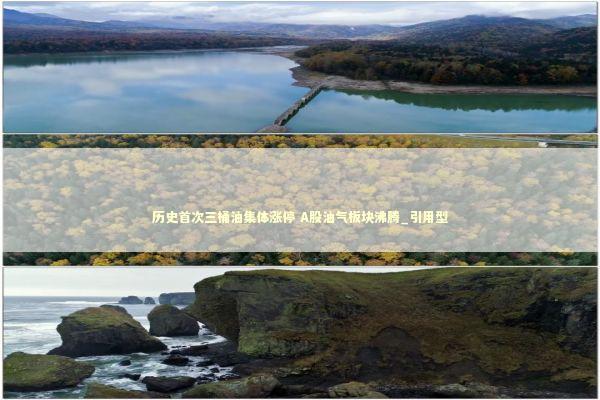 历史首次三桶油集体涨停 A股油气板块沸腾_引用型