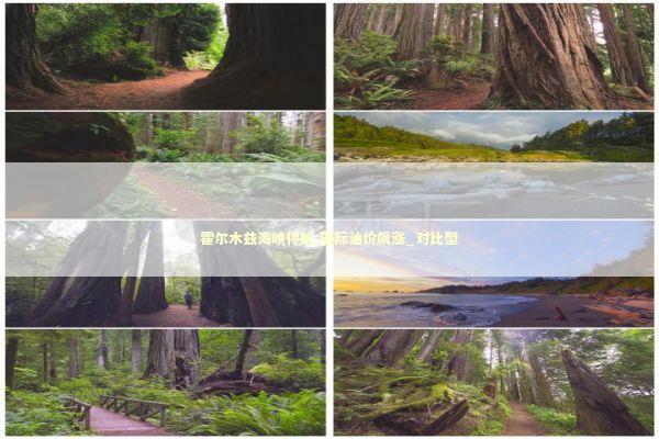 霍尔木兹海峡停航 国际油价飙涨_对比型