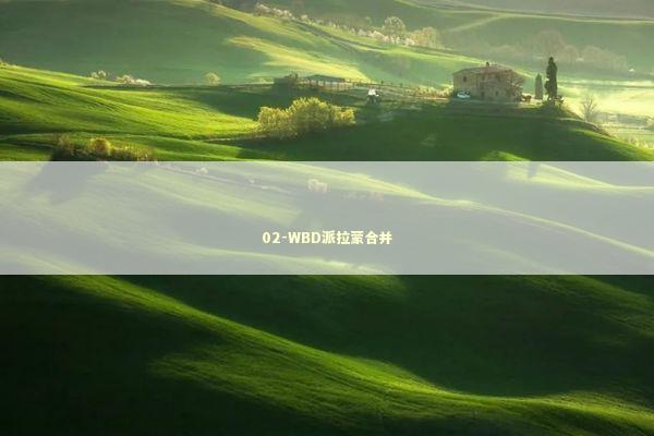 02-WBD派拉蒙合并
