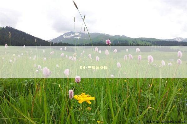 04-三桶油涨停