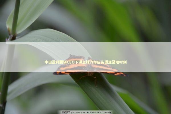 丰田盈利腰斩CEO下课全球汽车巨头遭逢至暗时刻