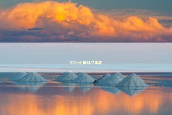 201-小米SU7事故