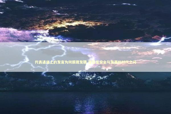 代表通道上的发言为何振聋发聩 背后是安全与发展的时代之问