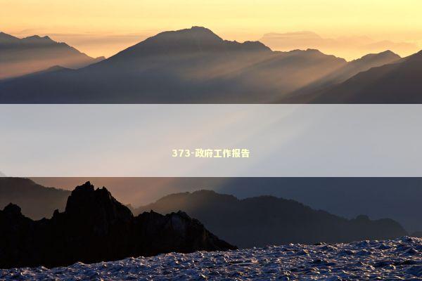 373-政府工作报告