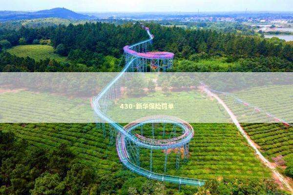 430-新华保险罚单