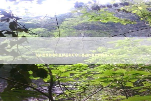 城乡居民养老和医保迎利好今年基础养老金再提高20元