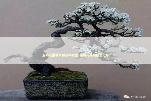 五粮液董事长曾从钦被查-履历与关键信息汇总