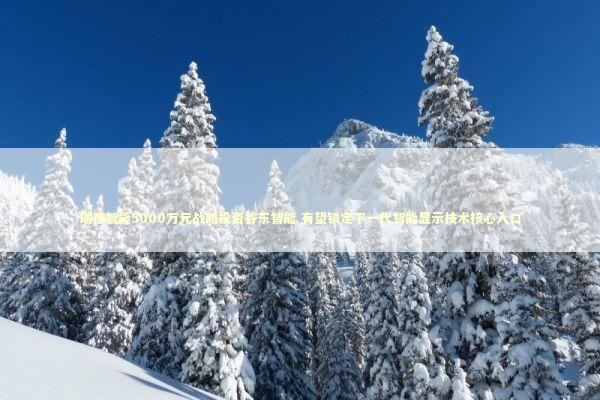 瑞德智能5000万元战略投资谷东智能 有望锁定下一代智能显示技术核心入口