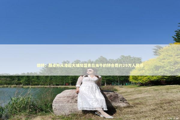 德转：颜卓彬从港超大埔加盟青岛海牛的转会费约29万人民币