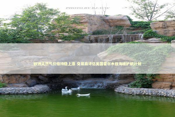 欧洲天然气价格持稳上涨 交易商评估美国霍尔木兹海峡护航计划