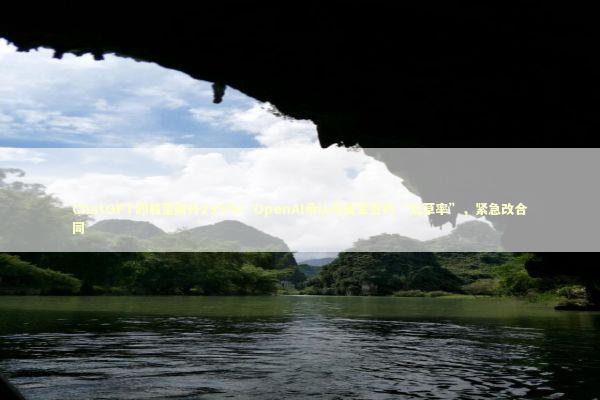ChatGPT卸载量飙升295%！OpenAI承认与美军签约“太草率”，紧急改合同