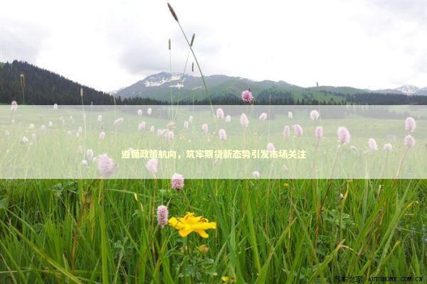 遵循政策航向，筑牢期货新态势引发市场关注 新闻