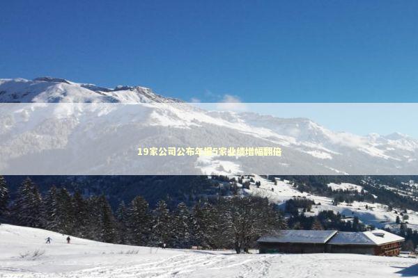 19家公司公布年报5家业绩增幅翻倍