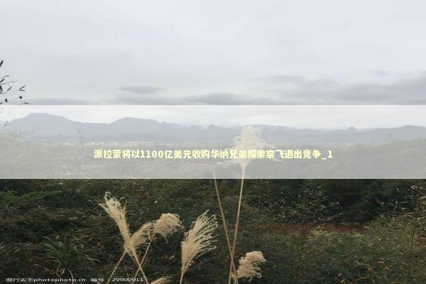 派拉蒙将以1100亿美元收购华纳兄弟探索奈飞退出竞争_1