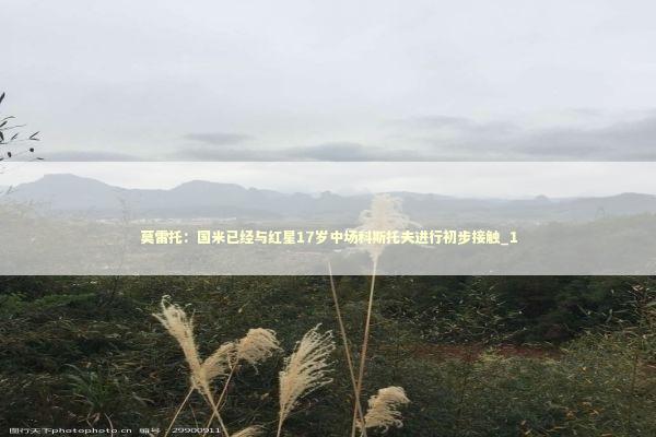 莫雷托：国米已经与红星17岁中场科斯托夫进行初步接触_1