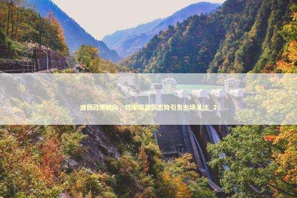 遵循政策航向，筑牢期货新态势引发市场关注_2
