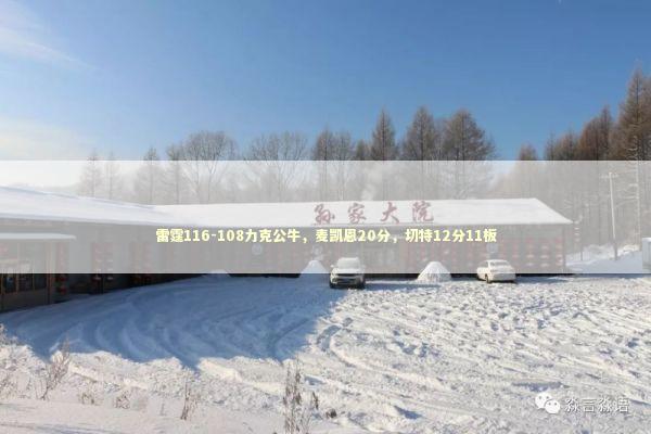雷霆116-108力克公牛，麦凯恩20分，切特12分11板