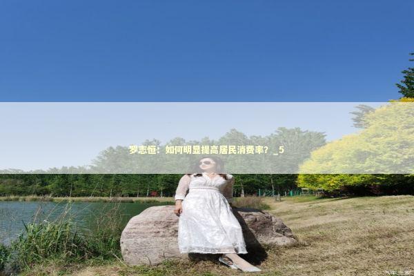 罗志恒：如何明显提高居民消费率？_5