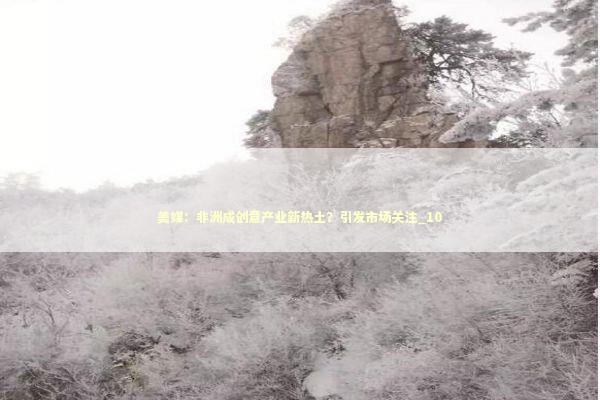 美媒：非洲成创意产业新热土？引发市场关注_10