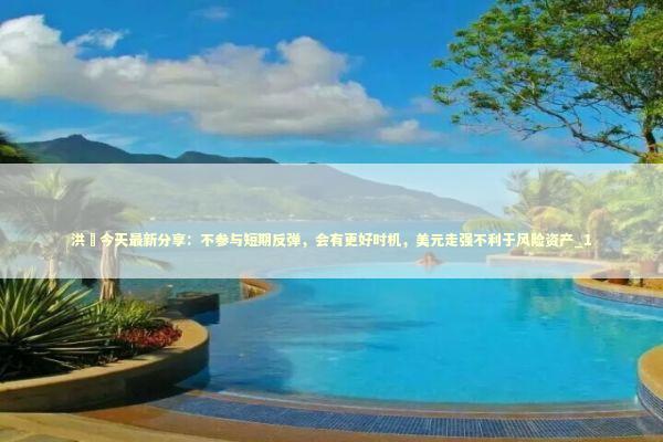 洪灝今天最新分享：不参与短期反弹，会有更好时机，美元走强不利于风险资产_1