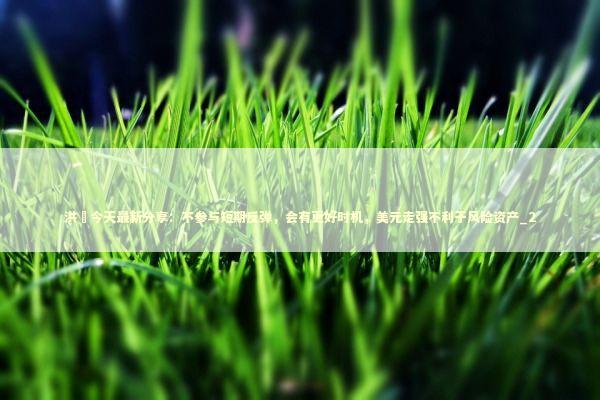 洪灝今天最新分享：不参与短期反弹，会有更好时机，美元走强不利于风险资产_2