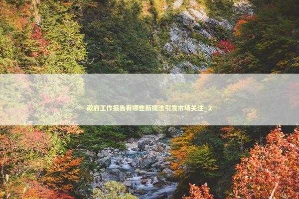 政府工作报告有哪些新提法引发市场关注_2