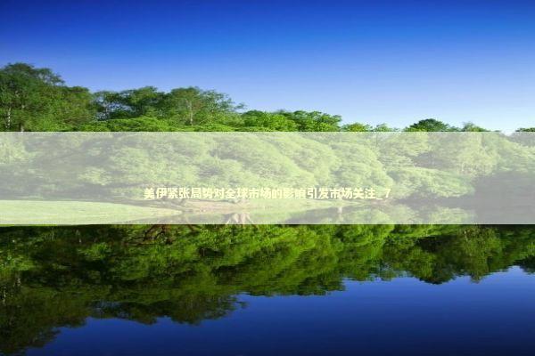 美伊紧张局势对全球市场的影响引发市场关注_7