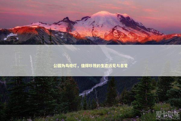 公园为鸟熄灯,值得珍视的生态远见与自觉 公园为鸟熄灯,值得珍视的生态远见与自觉 新闻