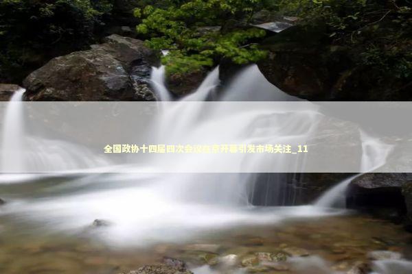 全国政协十四届四次会议在京开幕引发市场关注_11