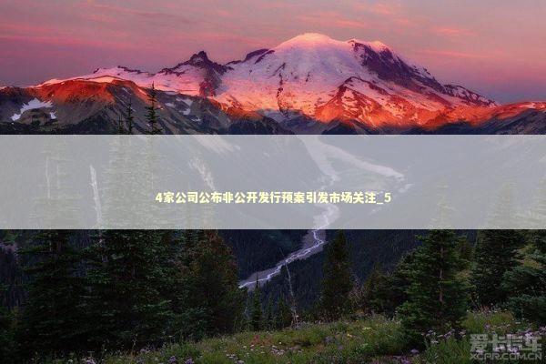 4家公司公布非公开发行预案引发市场关注_5