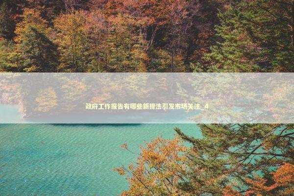 政府工作报告有哪些新提法引发市场关注_4