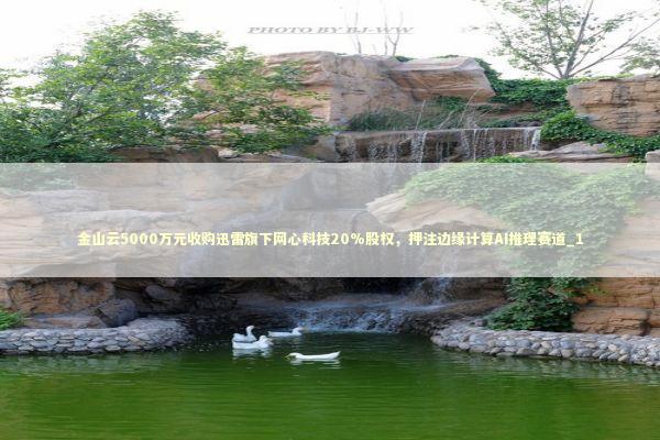 金山云5000万元收购迅雷旗下网心科技20%股权，押注边缘计算AI推理赛道_1