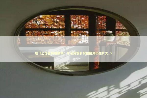 成飞上任首份成绩单：东证资管的权益困局仍在扩大_5