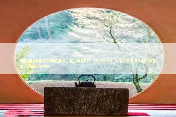 港股科技板块连日承压回调，恒生科技ETF（513130）今年以来净流入超130亿元，位居同类前列