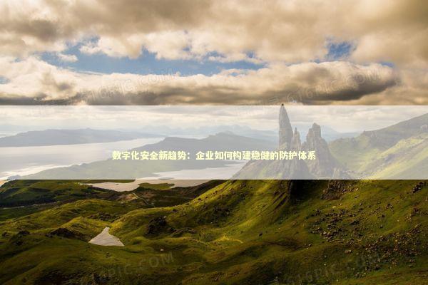 数字化安全新趋势：企业如何构建稳健的防护体系