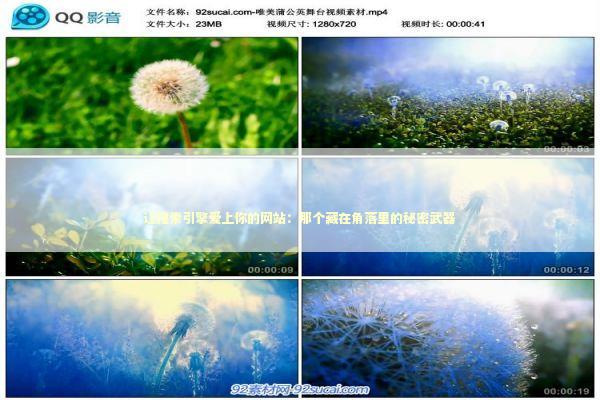 让搜索引擎爱上你的网站：那个藏在角落里的秘密武器